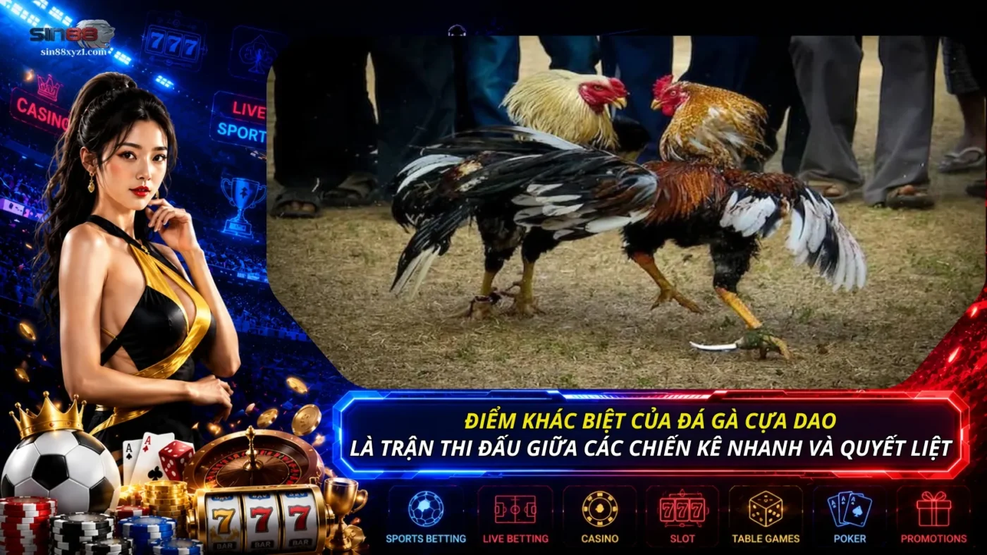 Điểm khác biệt của đá gà cựa dao là trận thi đấu giữa các chiến kê nhanh và quyết liệt